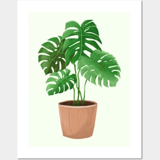 Monstera Plant Posters and Art